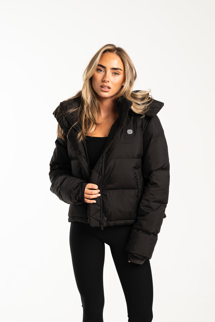 Arctic Puffer (Cropped)