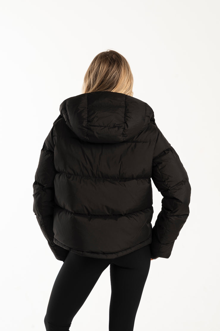 Arctic Puffer (Cropped)